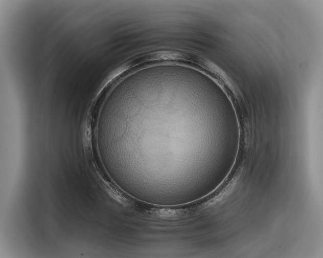 X0000115390827200911101450
