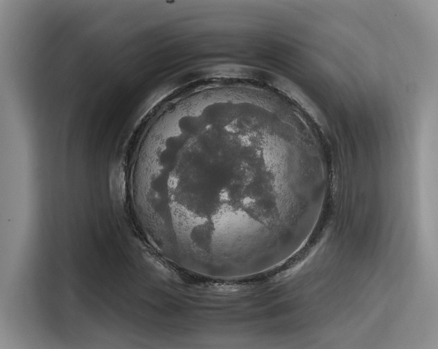 X0000115390829200911101450