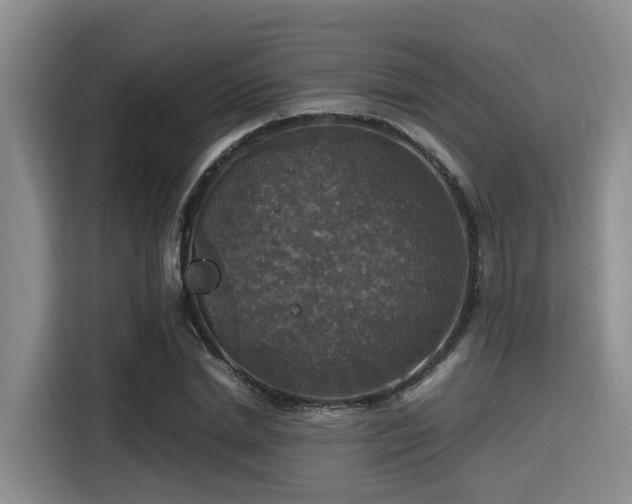 X0000115390830200911101450