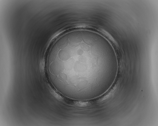 X0000115390831200911101450