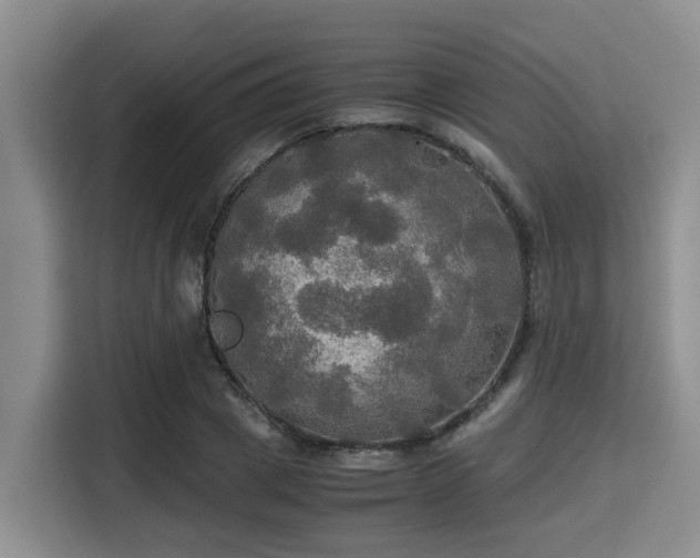 X0000115390833200911101450
