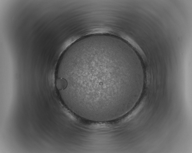 X0000115390834200911101450