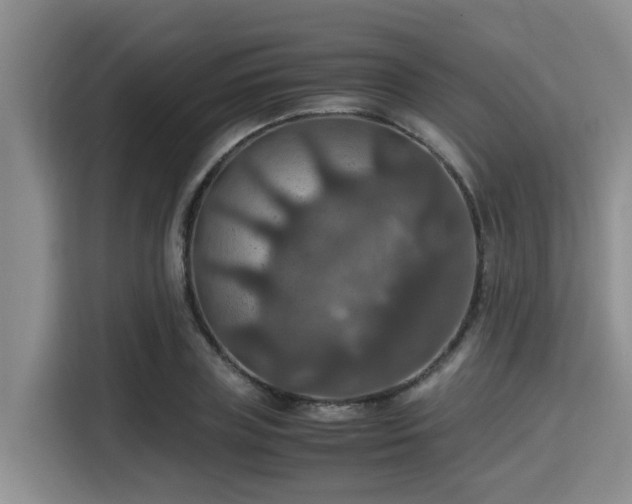 X0000115390835200911101450