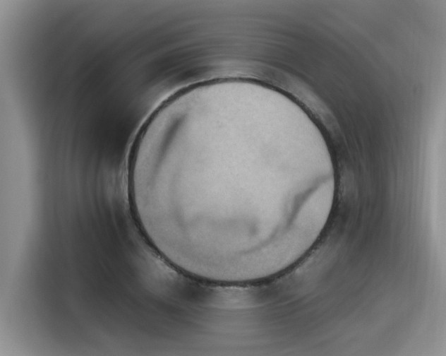 X0000115390836200911101450