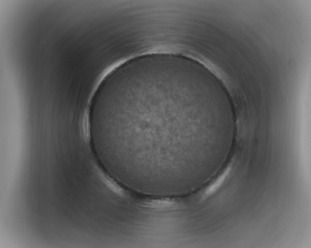 X0000115390838200911101450