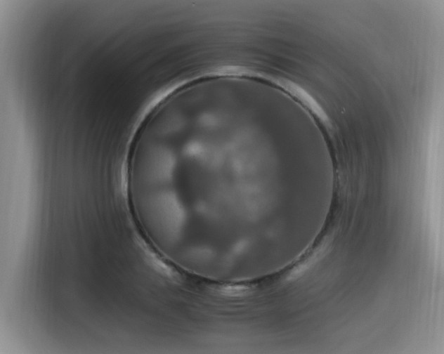 X0000115390839200911101450