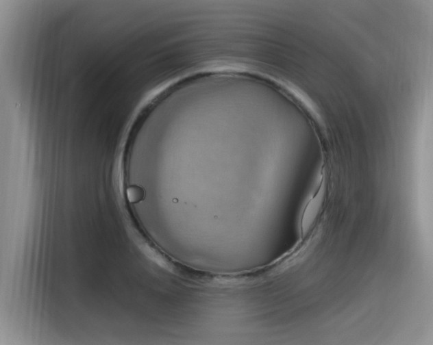 X0000115390840200911101450