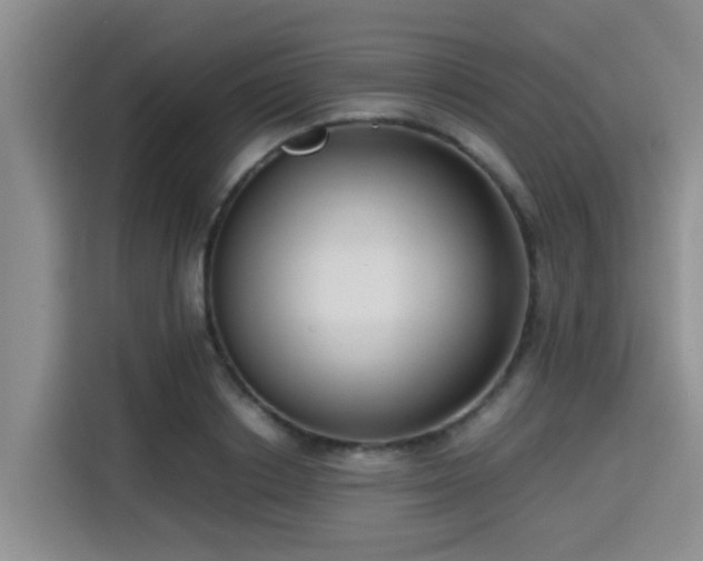 X0000115390842200911101450