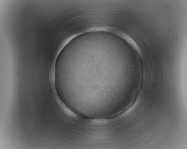 X0000115390844200911101451