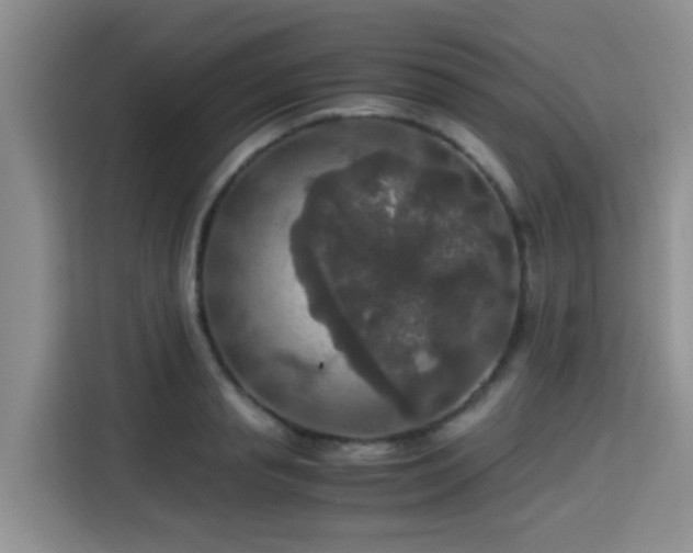 X0000115390845200911101451