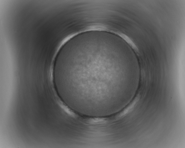 X0000115390846200911101451