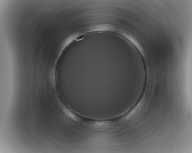 X0000115390850200911101451