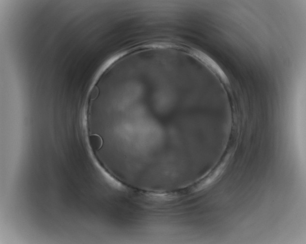 X0000115390855200911101451