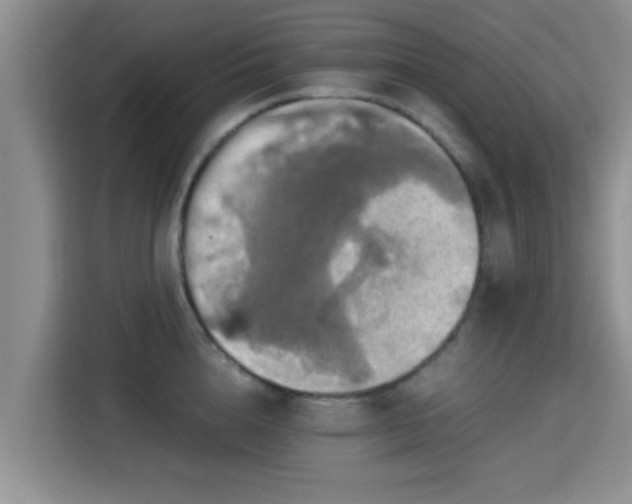 X0000115390856200911101451