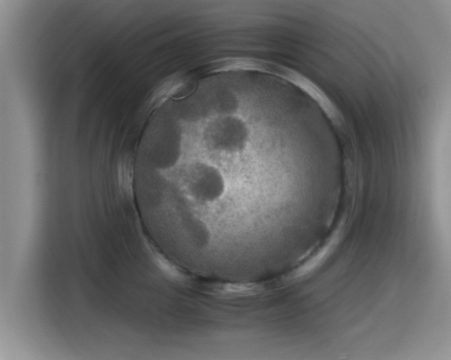 X0000115390857200911101451