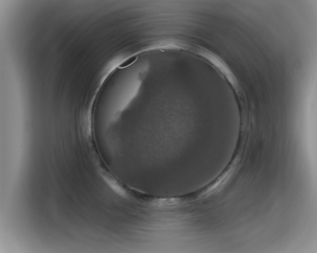 X0000115390858200911101451