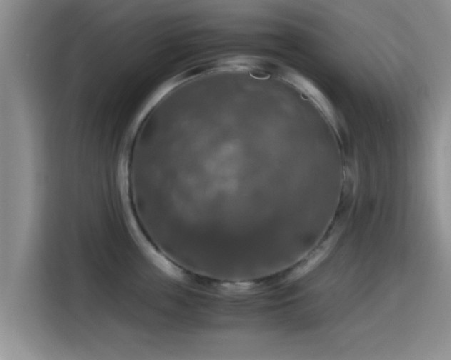 X0000115390859200911101451
