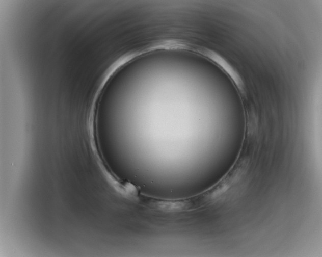 X0000115390861200911101451