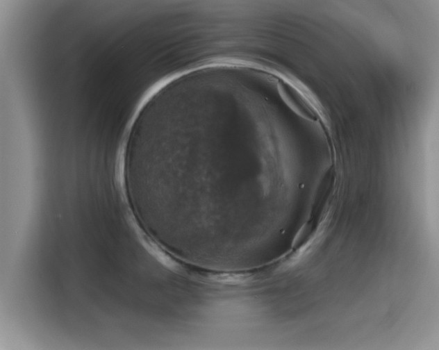 X0000115390862200911101451