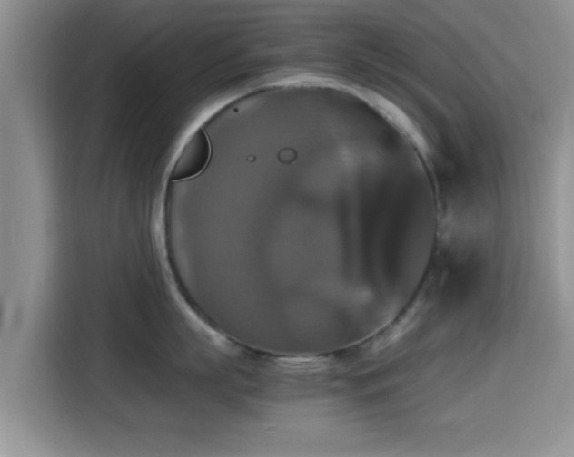X0000115390863200911101451