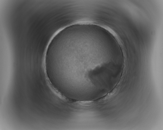X0000115390864200911101451