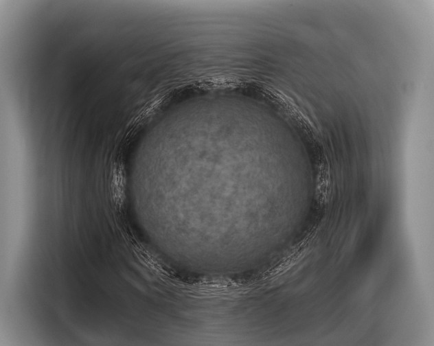 X0000115390866200911101450