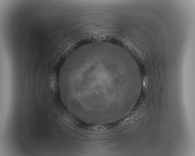 X0000115390867200911101450