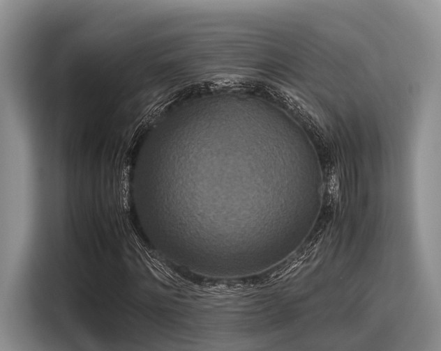 X0000115390868200911101450