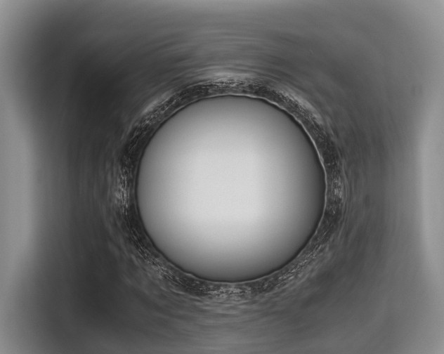 X0000115390869200911101450