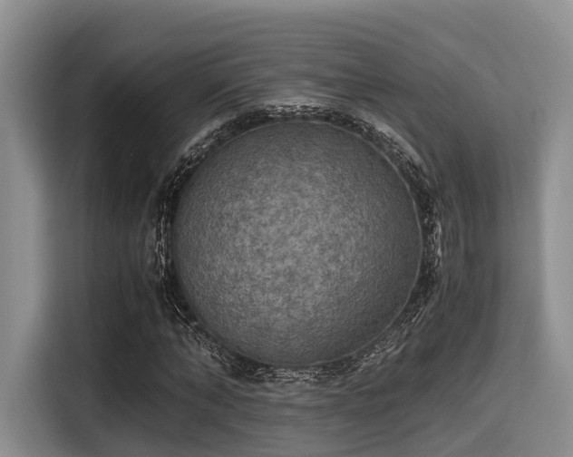 X0000115390870200911101450