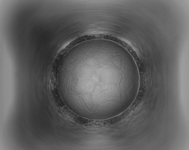 X0000115390871200911101450