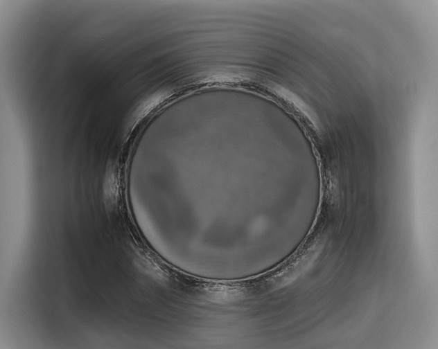 X0000115390874200911101450