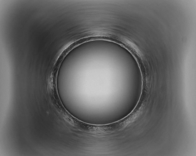 X0000115390875200911101450