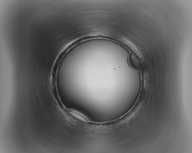 X0000115390876200911101450