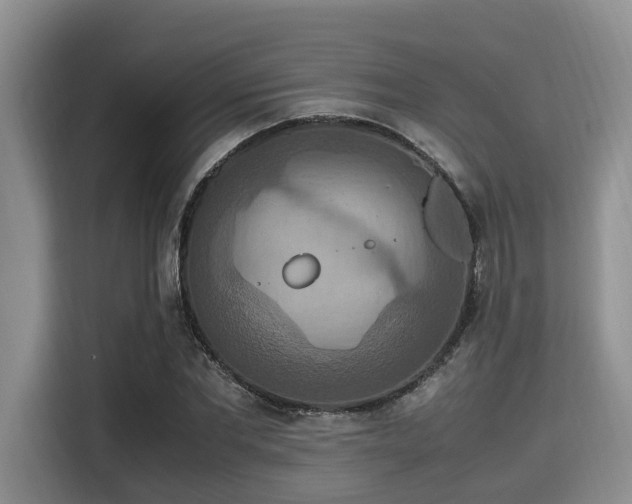 X0000115390877200911101450