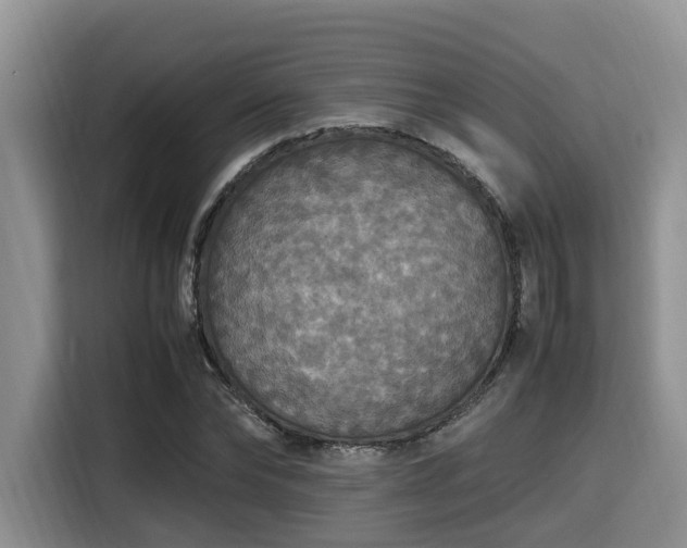 X0000115390878200911101450