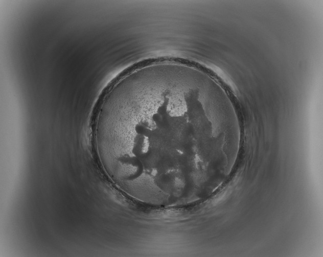 X0000115390879200911101450