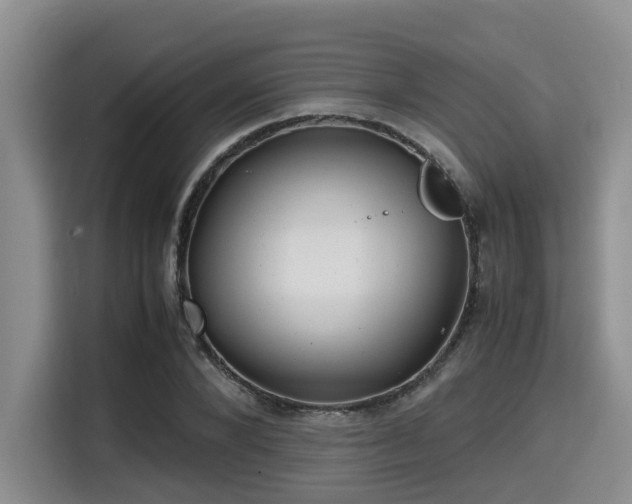 X0000115390880200911101450
