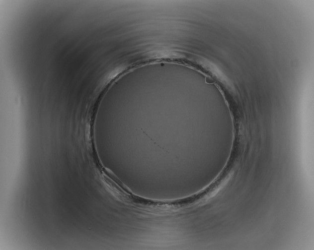 X0000115390881200911101450