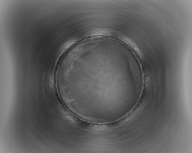 X0000115390882200911101450