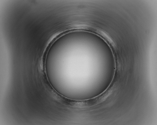 X0000115390883200911101450
