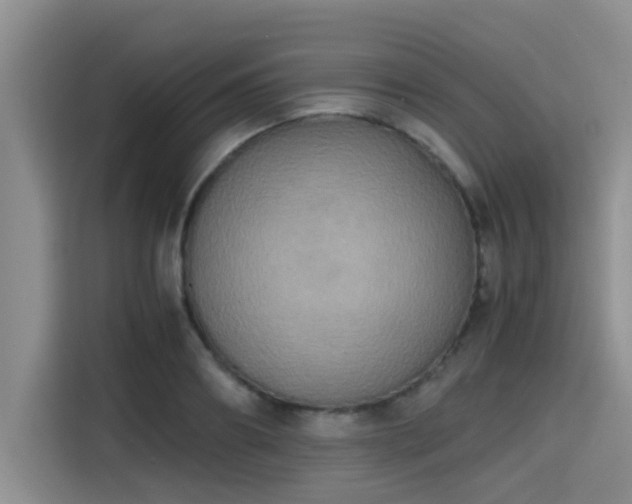 X0000115390890200911101450