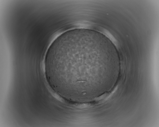 X0000115390891200911101450