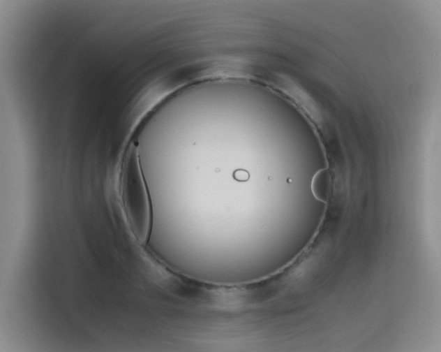 X0000115390893200911101450
