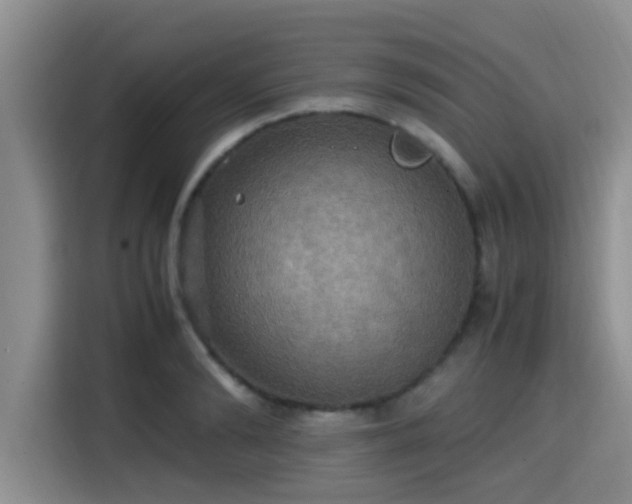 X0000115390894200911101450