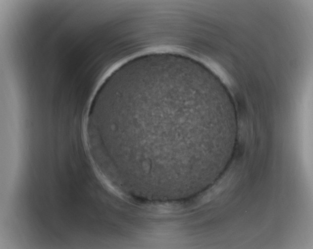 X0000115390895200911101450
