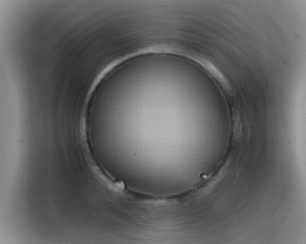 X0000115390896200911101450