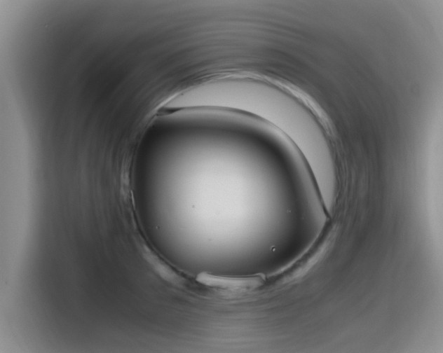 X0000115390897200911101450