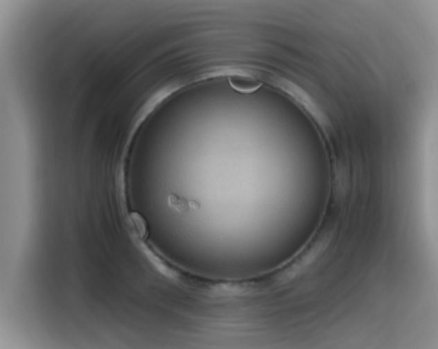 X0000115390898200911101450