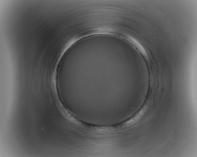 X0000115390899200911101450